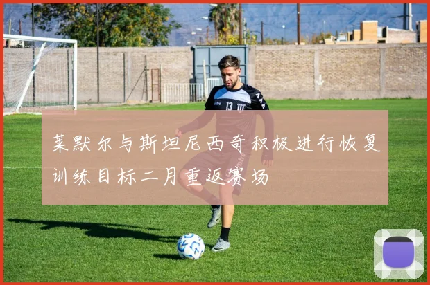 莱默尔与斯坦尼西奇积极进行恢复训练目标二月重返赛场